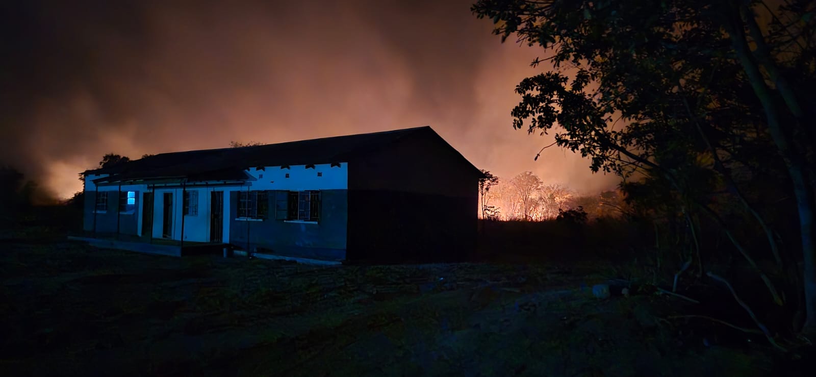 Buschbrand hinter der Schule